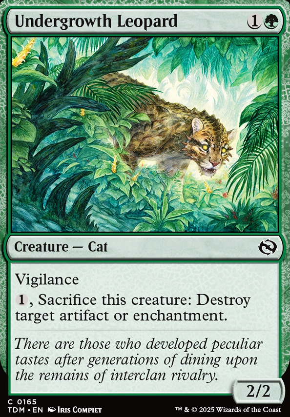 Undergrowth Leopard