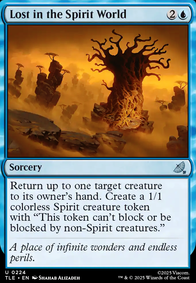 Lost in the Spirit World