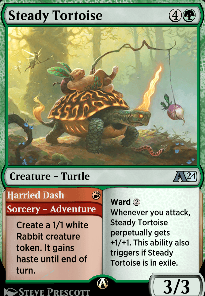 Steady Tortoise