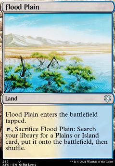 Featured card: Flood Plain