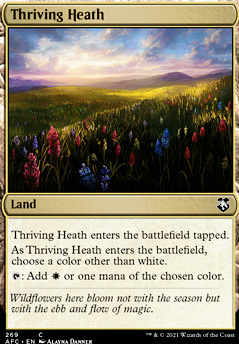 Thriving Heath