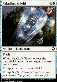 Paladin's Shield