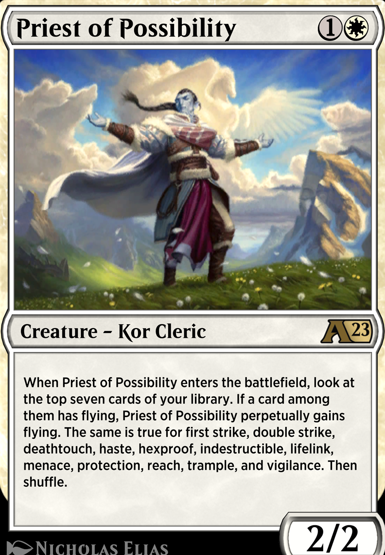 Priest of Possibility