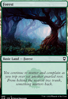 Forest