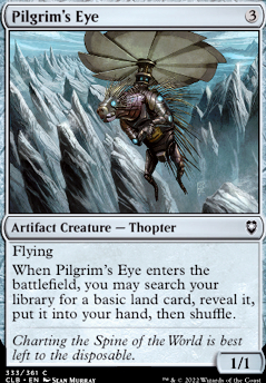 Pilgrim's Eye