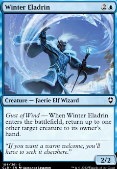 Winter Eladrin