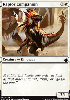 Featured card: Raptor Companion