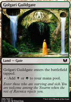 Golgari Guildgate feature for It's Raining Elves (1st at FNM)
