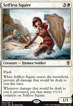 Selfless Squire