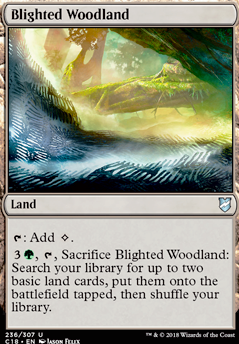 Featured card: Blighted Woodland