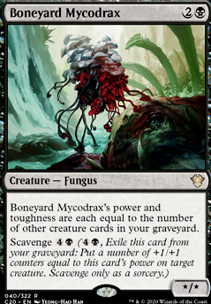 Featured card: Boneyard Mycodrax