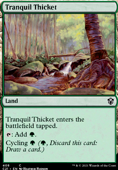 Tranquil Thicket Excellent MTG ONSLAUGHT Condition foil 