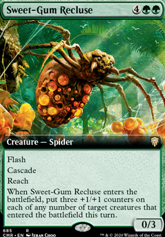 Featured card: Sweet-Gum Recluse