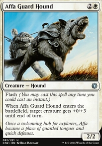 Affa Guard Hound