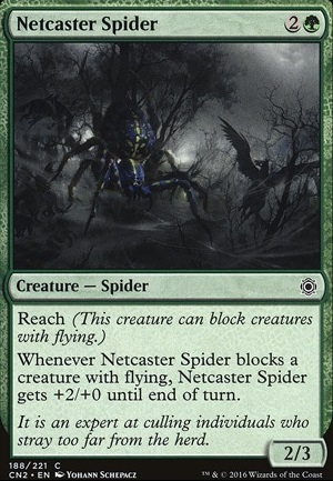 Featured card: Netcaster Spider