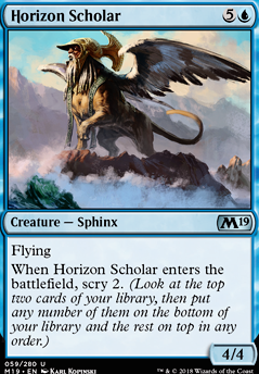 Horizon Scholar