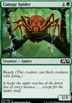 Featured card: Canopy Spider