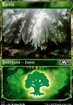 Featured card: Forest