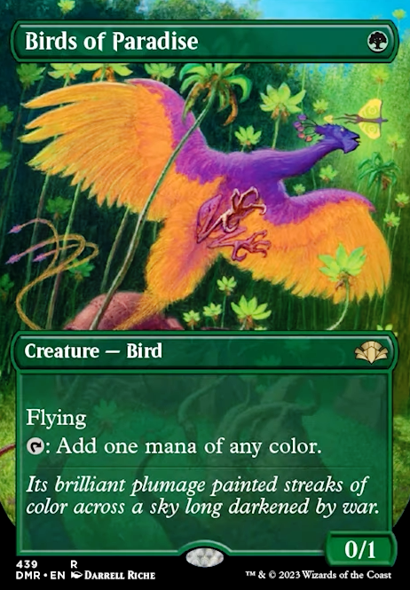 Featured card: Birds of Paradise