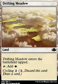 Drifting Meadow