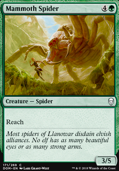 Mammoth Spider