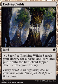 Evolving Wilds