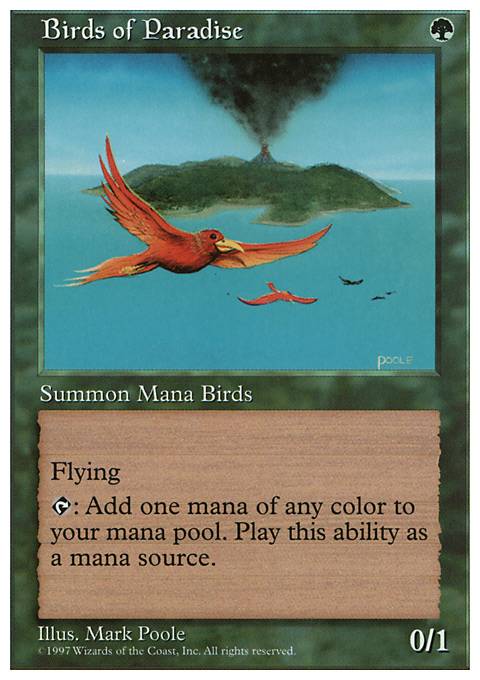 Featured card: Birds of Paradise