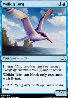 Featured card: Welkin Tern