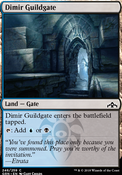 Dimir Guildgate