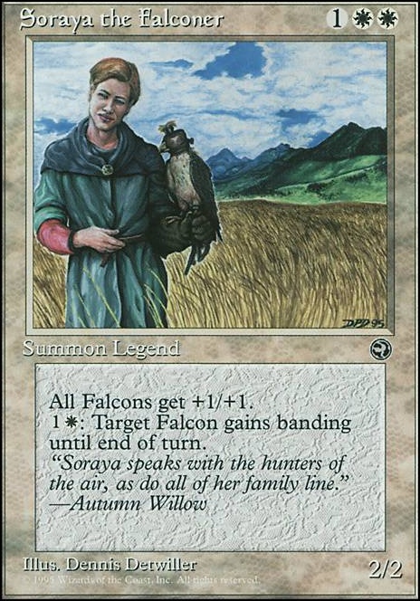 Soraya the Falconer feature for Confuse Ray