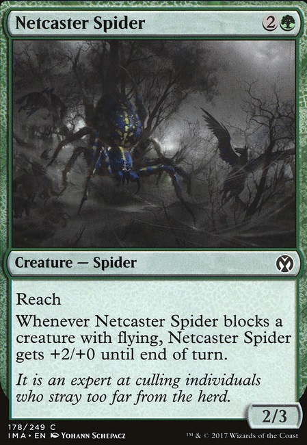 Featured card: Netcaster Spider