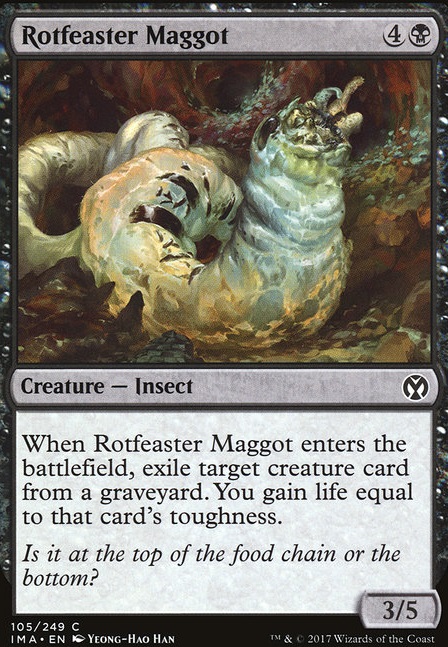 Rotfeaster Maggot