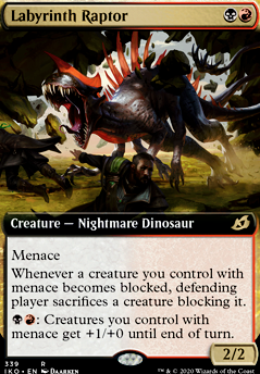 Featured card: Labyrinth Raptor