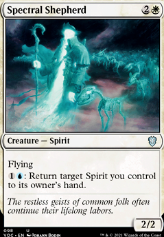 Featured card: Spectral Shepherd
