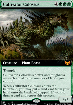 Deck featured img