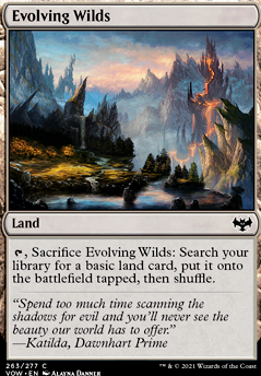 Evolving Wilds