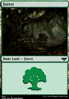 Featured card: Forest