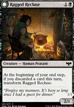 Ragged Recluse