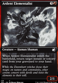 Ardent Elementalist