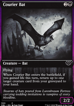 Featured card: Courier Bat