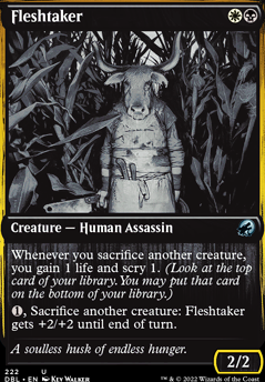 Featured card: Fleshtaker