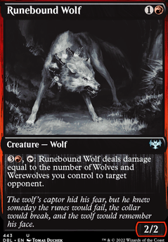 Featured card: Runebound Wolf