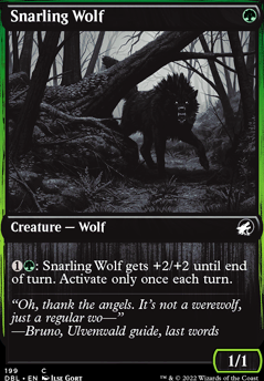 Featured card: Snarling Wolf