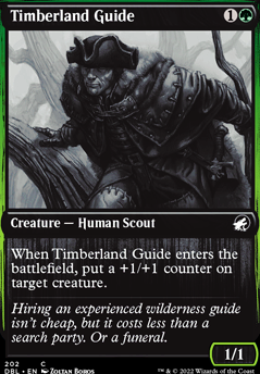 Featured card: Timberland Guide