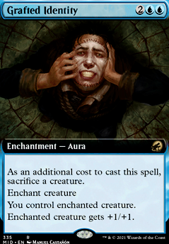 Grafted Identity feature for Everybody Everywhere All as One | Mairsil