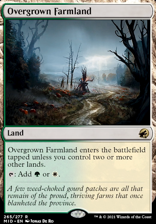 Overgrown Farmland feature for Derevi Hugbird