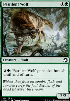 Featured card: Pestilent Wolf