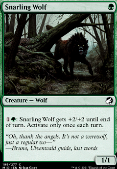 Featured card: Snarling Wolf