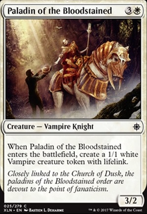 Paladin of the Bloodstained
