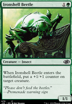 Ironshell Beetle